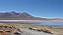 Altiplano